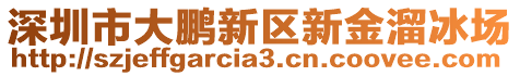 深圳市大鵬新區(qū)新金溜冰場