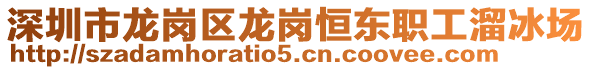 深圳市龍崗區(qū)龍崗恒東職工溜冰場(chǎng)