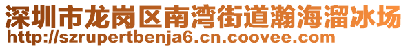 深圳市龍崗區(qū)南灣街道瀚海溜冰場(chǎng)