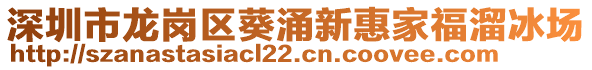 深圳市龍崗區(qū)葵涌新惠家福溜冰場