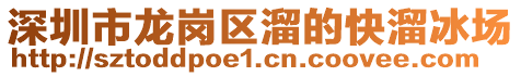 深圳市龍崗區(qū)溜的快溜冰場