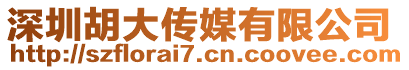 深圳胡大傳媒有限公司