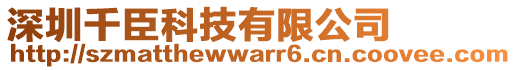 深圳千臣科技有限公司