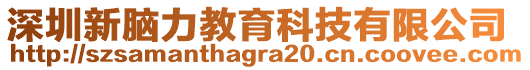 深圳新腦力教育科技有限公司