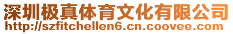 深圳極真體育文化有限公司