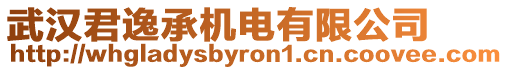 武漢君逸承機電有限公司
