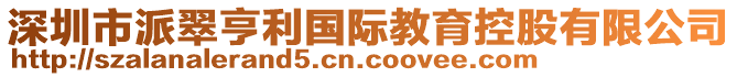 深圳市派翠亨利國際教育控股有限公司