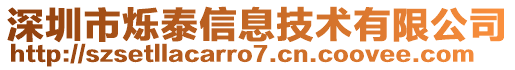 深圳市爍泰信息技術(shù)有限公司