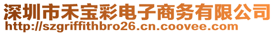 深圳市禾寶彩電子商務有限公司