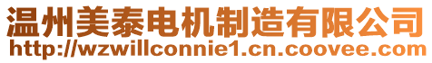 溫州美泰電機制造有限公司