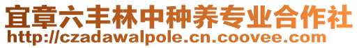 宜章六豐林中種養專業合作社