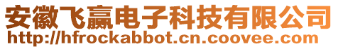 安徽飛贏電子科技有限公司