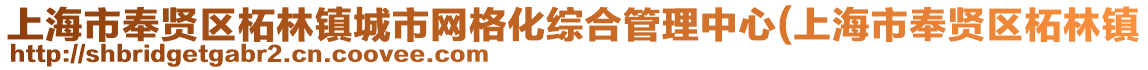 上海市奉賢區柘林鎮城市網格化綜合管理中心(上海市奉賢區柘林鎮