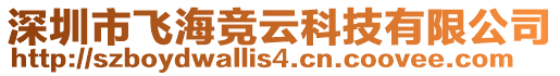 深圳市飛海競云科技有限公司