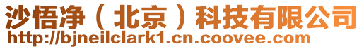 沙悟凈(北京)科技有限公司