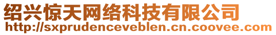 紹興驚天網絡科技有限公司