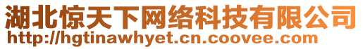 湖北驚天下網(wǎng)絡(luò)科技有限公司