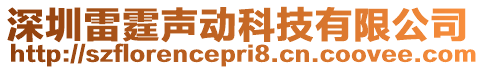深圳雷霆聲動科技有限公司