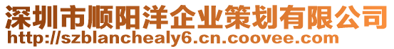 深圳市順陽洋企業(yè)策劃有限公司