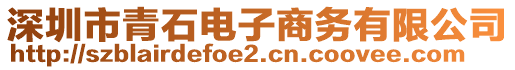 深圳市青石電子商務(wù)有限公司