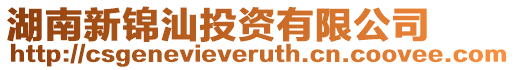 湖南新錦汕投資有限公司