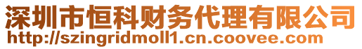 深圳市恒科財(cái)務(wù)代理有限公司