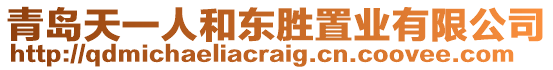 青島天一人和東勝置業(yè)有限公司