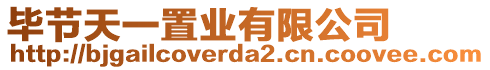 畢節(jié)天一置業(yè)有限公司