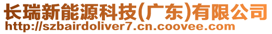 長(zhǎng)瑞新能源科技(廣東)有限公司