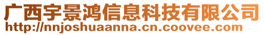 廣西宇景鴻信息科技有限公司