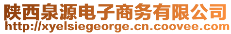 陜西泉源電子商務(wù)有限公司