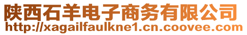 陜西石羊電子商務有限公司