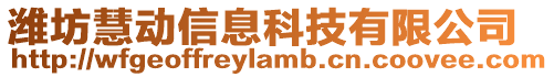 濰坊慧動信息科技有限公司