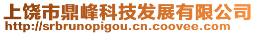 上饒市鼎峰科技發(fā)展有限公司