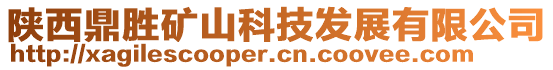陜西鼎勝礦山科技發(fā)展有限公司