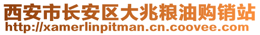 西安市長安區大兆糧油購銷站