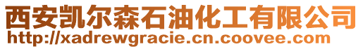 西安凱爾森石油化工有限公司