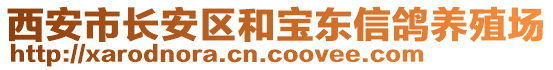 西安市長安區(qū)和寶東信鴿養(yǎng)殖場