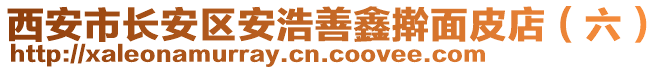 西安市長(zhǎng)安區(qū)安浩善鑫搟面皮店（六）