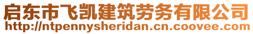 啟東市飛凱建筑勞務(wù)有限公司