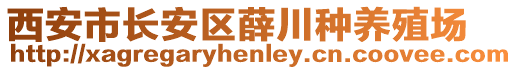 西安市長安區(qū)薛川種養(yǎng)殖場