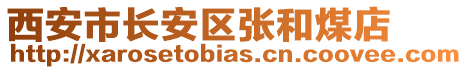 西安市長(zhǎng)安區(qū)張和煤店