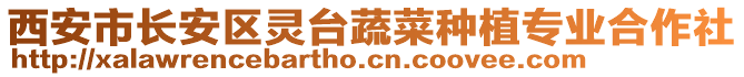 西安市長安區(qū)靈臺蔬菜種植專業(yè)合作社