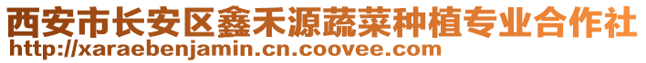 西安市長安區鑫禾源蔬菜種植專業合作社