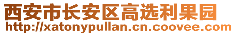 西安市長安區高選利果園