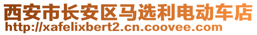 西安市長安區(qū)馬選利電動(dòng)車店