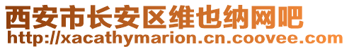 西安市長安區維也納網吧