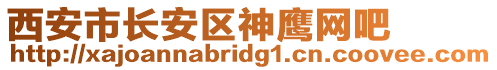 西安市長安區神鷹網吧