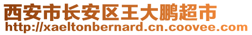 西安市長(zhǎng)安區(qū)王大鵬超市