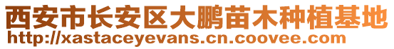 西安市長安區(qū)大鵬苗木種植基地